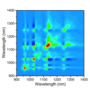 A covariance matrix produced with a new technique at Rice University maps fluorescence signals from various species of single-walled carbon nanotubes that are beginning to aggregate in a sample. The matrix allows researchers to know which types of nanotubes (identified by their fluorescence spectra) have aggregated and in what amounts, in this case after four hours in solution.
CREDIT: Weisman Lab/Rice University
