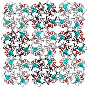 Lysozyme molecules arranged in a crystal lattice. The red helical structures are associated with electron density changes when the protein crystal was exposed to terahertz radiation.
CREDIT: Gergely Katona, et al.