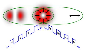 The shape and polarization of a conventional laser beam from a laser pointer mimics quantum entanglement when the laser beam has a polarization dependent shape. This can be used to encode twice as many bits of information as when the laser beam is "separable."
CREDIT: Giovanni Milione