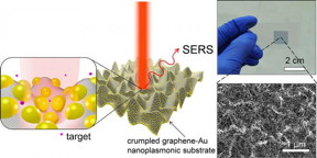 Illustration of SERS enhancement from a crumpled graphene-Au nanoparticles hybrid structure. Raman spectrum is enhanced the most when the target molecule is situated at the center of Au nanoparticles in valley of crumpled graphene as depicted in inset.
CREDIT: University of Illinois