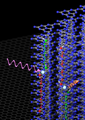 Charge carriers in polymeric carbon nitrides always take paths perpendicular to the sheets, as Merschjann's group has now shown. Light creates an electron-hole pair. The opposite happens when an electron and hole meet under certain conditions (forming a singlet exciton) and emit light (fluorescence).
CREDIT: C. Merschjann.