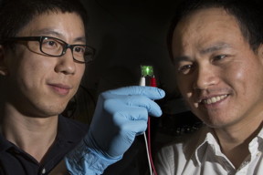 Assistant Professor of Physics Hanwei Gao, left, and Associate Professor of Chemical Engineering Biwu Ma, right, look at their new LED.
CREDIT: Bruce Palmer/Florida State University
