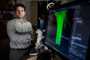 'Ours is the first rolling DNA motor, making it far faster and more robust,' says Khalid Salaita, the Emory University chemist who led he research.
CREDIT: Bryan Meltz, Emory Photo/Video