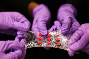 A new stretchy hydrogel can be embedded with various electronics. Here, a sheet of hydrogel is bonded to a matrix of polymer islands (red) that can encapsulate electronic components such as semiconductor chips, LED lights, and temperature sensors.

Credit: Melanie Gonick/MIT