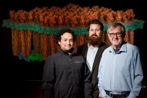 University of Illinois physics professor Klaus Schulten, right; physics graduate student Keith Cassidy, center; postdoctoral researcher Juan Perilla and their colleagues used experimental data and computer simulations to determine the structure of key regions of the bacterial brain.

Photo by L. Brian Stauffer