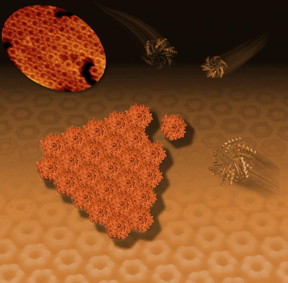 This illustration shows how hexagonal bacterial proteins (shown as ribbon-like structures at right and upper right) self-assemble into a honeycomb-like tiled pattern (center and background). This tiling activity, seen with an atomic-resolution microscope (upper left), represents the early formation of polyhedral, soccer-ball-like structures known as bacterial microcompartments or BCMs that serve as tiny factories for a range of specialized activities.
CREDIT: Berkeley Lab