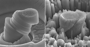 At left, a deformed sample of pure metal; at right, the strong new metal made of magnesium with silicon carbide nanoparticles. Each central micropillar is about 4 micrometers across.
CREDIT: UCLA Scifacturing Laboratory