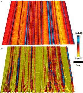 (a, b) MIM capacitance images overlaid on top of AFM 3-D surface topography of an array of CVD grown aligned SWNTs on quartz substrates. Each sample has a 3.5 nm dielectric layer of (a) MgO and (b) SiO2. The impact of the increased ε for MgO is apparent, resulting in improved contrast and uniformity.
CREDIT: John A. Rogers, Eric Seabron, Scott MacLaren and Xu Xie from the University of Illinois at Urbana-Champaign; Slava V. Rotkin from Lehigh University; and, William L. Wilson from Harvard University