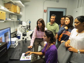 Dr Rosa Espinosa-Marzal and members from her research group discuss results from their JPK NanoWizard AFM system at the University of Illinois at Urbana-Champaign.