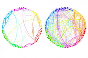 This diagram demonstrates the simplified results that can be obtained by using quantum analysis on enormous, complex sets of data. Shown here are the connections between different regions of the brain in a control subject (left) and a subject under the influence of the psychedelic compound psilocybin (right). This demonstrates a dramatic increase in connectivity, which explains some of the drugs effects (such as hearing colors or seeing smells). Such an analysis, involving billions of brain cells, would be too complex for conventional techniques, but could be handled easily by the new quantum approach, the researchers say.

Courtesy of the researchers