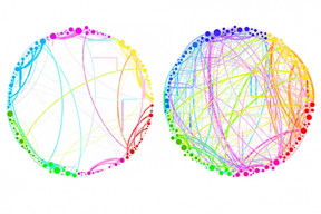 This diagram demonstrates the simplified results that can be obtained by using quantum analysis on enormous, complex sets of data. Shown here are the connections between different regions of the brain in a control subject (left) and a subject under the influence of the psychedelic compound psilocybin (right). This demonstrates a dramatic increase in connectivity, which explains some of the drugs effects (such as hearing colors or seeing smells). Such an analysis, involving billions of brain cells, would be too complex for conventional techniques, but could be handled easily by the new quantum approach, the researchers say.

Courtesy of the researchers