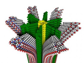 Northwestern University researchers have developed a new hybrid polymer with removable supramolecular compartments, shown in this molecular model.
CREDIT: Mark E. Seniw, Northwestern University