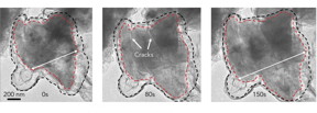 Time-lapse images from an electron microscope show a silicon microparticle expanding and cracking within its graphene cage as lithium ions rush in during battery charging. The cage is outlined in black, and the particle in red.
CREDIT: Y. Li et al., Nature Energy