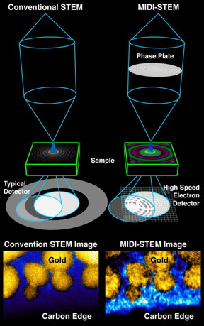 This representation shows a Berkeley Lab-developed technique called MIDI-STEM (at right), and conventional STEM (at left) that does not use a ringed object called a phase plate. In MIDI-STEM, an interference pattern (bottom right) introduced by the phase plate (top right) interacts with the electron beam before it travels through a sample (the blue wave in the center). As the phase of the sample (the distance between the peaks and valleys of the blue wave) changes, the electrons passing through the sample are affected and can be measured as a pattern (bottom right).
CREDIT: Colin Ophus/Berkeley Lab, Nature Communications: 10.1038/ncomms10719
