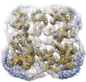 According to the researchers, the new Salipro technology may offer a wide range of potential applications; from structural biology to the discovery of new pharmacological agents.
CREDIT: Jens Frauenfeld et al.