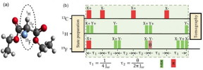 (a) The NMR quantum simulator consists of 13C, 1H and 19F nuclear spins in chloroform; (b) The experimental pulse sequence for simulating the Unruh effect.

Science China Press