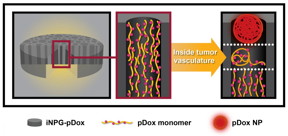 This is the iNPG process.
CREDIT: Houston Methodist Research Institute