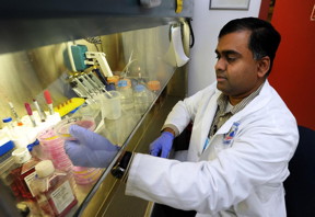 Somanath Shenoy is an associate professor of Clinical and Experimental Therapeutics in the University of Georgia College of Pharmacy.
CREDIT: University of Georgia