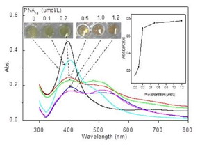 Depicts visual colors of AgNP solutions (0.45 nmol/L) incubated with different PNA12 concentrations (0-1.2 μmol/L) and absorption spectra of corresponding solutions.

Science China Press