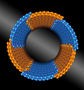 Precision meets nano-construction, as seen in this illustration. Berkeley Lab scientists discovered a peptoid composed of two chemically distinct blocks (shown in orange and blue) that assembles itself into nanotubes with uniform diameters.
CREDIT: Berkeley Lab