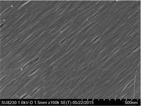 A scanning electron microscope image shows highly aligned and closely packed carbon nanotubes gathered into a film by researchers at Rice University. Credit: Kono Lab/Rice University