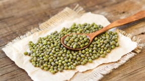 Researchers at Washington University in St. Louis hope that nanoparticle technology can help reduce the need for fertilizer, creating a more sustainable way to grow crops such as mung beans.
CREDIT: WUSTL