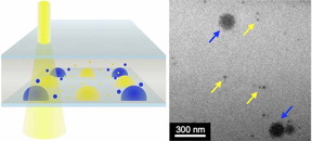 By mixing combinations of gold nanoparticles (yellow arrows) with other nanoscale crystals (blue arrows) in the LCTEM (at left), the chemists showed their technique works. Images by Lucas Parent, UC San Diego