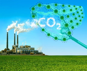 Novel functionalized nanomaterials for CO2 capture.

Copyright Royal Society of Chemistry (RSC). Ref: Polshettiwar et al. Chemical Science, 2012, 3, 2224-2229