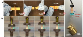Penn State researchers have developed a flexible electronic material that self-heals to restore many functions, even after multiple breaks.
CREDIT: Qing Wang, Penn State