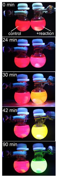 A photo timeline of reaction monitoring using perovskite fluorescence.
CREDIT: Syracuse University News Services