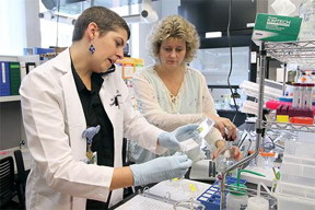 Dr. Ann-Marie Broome, right, likes collaborating with Dr. Amy Lee Bredlau, left, who brings a clincial perspective to the laboratory.
CREDIT: Sarah Pack