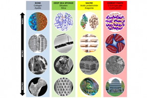 A comparison of natural materials and cement paste demonstrates the steps by which smaller pieces assemble to form larger structures.

Image courtesy of the researchers.