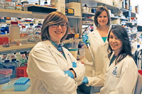 Left to right: Irja Elliott Donaghue, Malgosia Pakulska and Jaclyn Obermeyer, under the direction of Professor Molly Shoichet in U of T Engineering, discovered that proteins can be released slowly without first encapsulating them in nanoparticles.
CREDIT: Marit Mitchell, U of T Engineering