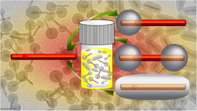 Morphological control of the silica shell on CdSe/CdS core/shell quantum dot nanorods is reported, giving single or double lobes of silica or a uniform silica shell.
CREDIT: Joe Tracy