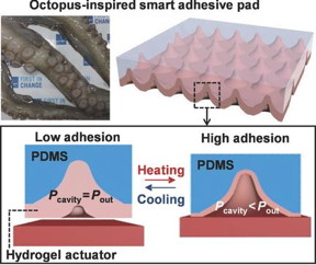 Schematic representation of microcavity arrays within a octopus-inspired smart adhesive pad.
CREDIT: UNIST