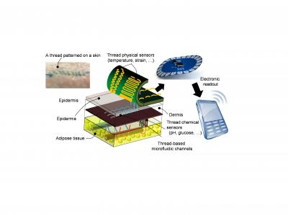 Threads penetrate multiple layers of tissue to sample interstitial fluid and direct it to sensing threads that collect data, such as pH and glucose levels. Conductive threads then deliver the data to a flexible wireless transmitter sitting on top of the skin. The inset figure, upper left, shows liquid flowing in threads sutured into skin.
CREDIT: Nano Lab, Tufts University