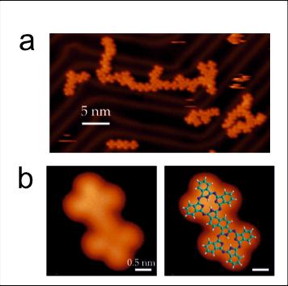 a) STM image displaying the formation of quasi-unidimensional polymers. b) STM image and models of the majority of products between coupled monomers.
CREDIT: Dr. David Ecija, IMDEA Nanoscience