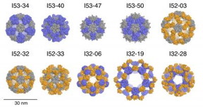 Computational models of the 10 successful designs are shown via molecular surface representations (design names are shown above each model). Each design comprises a pairwise combination of pentameric (grey), trimeric (blue), or dimeric (orange) building blocks aligned along icosahedral fivefold, threefold, and twofold symmetry axes, respectively. All models are shown to scale relative to the 30 nanometer scale bar.
CREDIT: University of Washington Institute for Protein Design