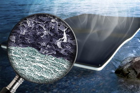 An artist's rendering of nanoparticle biofoam developed by engineers at Washington University in St. Louis. The biofoam makes it possible to clean water quickly and efficiently using nanocellulose and graphene oxide.
CREDIT: Washington University in St. Louis
