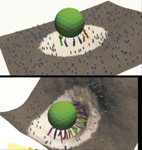 Previous work by some of the researchers uncovered a counter-intuitive relationship that suggested that adding more targeting molecules on the nanocarrier's surface is not always better, as increases in stability may come with decreases in targeting specificity. Understanding the role the fluttering of the target cell's surface plays in this equation is necessary for better design of nanocarriers.
CREDIT: University of Pennsylvania