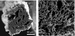 This is scanning electron microscopy imagery of a graphene fiber made from microwave reduced graphene oxide.
CREDIT: Jieun Yang, Damien Voiry and Jacob Kupferberg