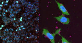 The photoluminescence of silicon nanoparticles. Source: Macmillan Publishers Limited