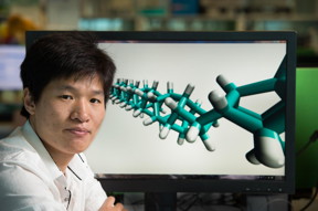 This is QUT's Dr Haifei Zhan with model of diamond nanothread.
CREDIT
Anthony Weate, QUT