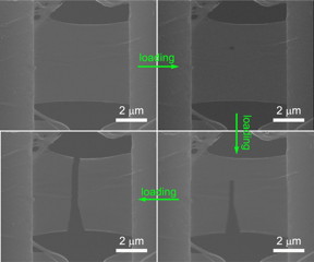 A sequence shows a molybdenum diselenide sample mounted on a nanomechanical measuring device at Rice University, where scientists determine the material is far more brittle than they expected. The atom-thick material is progressively stretched in the photos, clockwise from top left, until it completely splits. The researchers suspect defects as small as a single atom are the starting point for the brittle behavior.Credit: Lou Group/Rice University