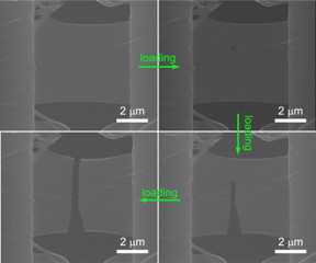 A sequence shows a molybdenum diselenide sample mounted on a nanomechanical measuring device at Rice University, where scientists determine the material is far more brittle than they expected. The atom-thick material is progressively stretched in the photos, clockwise from top left, until it completely splits. The researchers suspect defects as small as a single atom are the starting point for the brittle behavior.Credit: Lou Group/Rice University