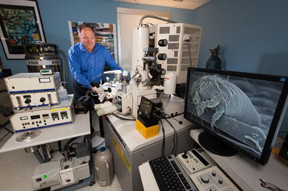 Gary Bauchan, Director, Electron & Confocal Microscopy Unit, USDA-ARS inserts mite specimens into the Quorum PP2000 Cryo-Prep Chamber (photo courtesy of Steve Ausmus, USDA-ARS, d3713-1)