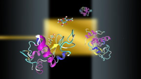  new imaging method, called Transient Induced Molecular Electronic Spectroscopy (TIMES), allows researchers to investigate protein-ligand interactions without introducing disturbances to their binding. Researchers used Stampede to provide insights into how TIMES works.
CREDIT
Tiantian Zhang, Tao Wei, Yuanyuan Han, Heng Ma, Mohammadreza Samieegohar, Ping-Wei Chen, Ian Lian, and Yu-Hwa Lo
