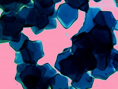 Metal-oxide crystals