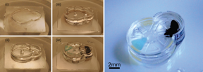 Fabrication and complete assembly of a Geneva drive device using the iMEMS method. The left panel shows the layer-by-layer fabrication of support structures and assembly of gear components. The image on the right shows the complete device after the layers have been sealed.
Photo by Sau Yin Chin/Columbia Engineering