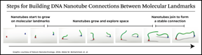 Steps for building DNA nanotube connections between molecular landmarks.
CREDIT
Nature Nanotechnology, 2016, Abdul M. Mohammed et alia
